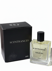 SCENTRANCES Erba Pura Inspired Perfume - 50ml EDP