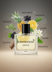 SCENTRANCES Hacivat Eau De Parfum - Sparkling Citrus & Woody Chypre Fragrance - 50ml